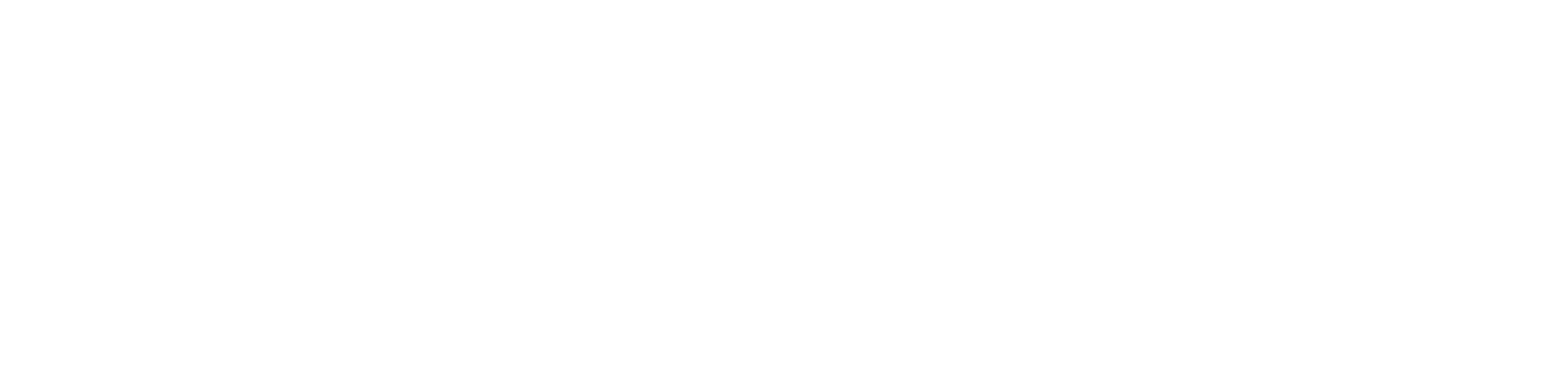 SWM Logo White